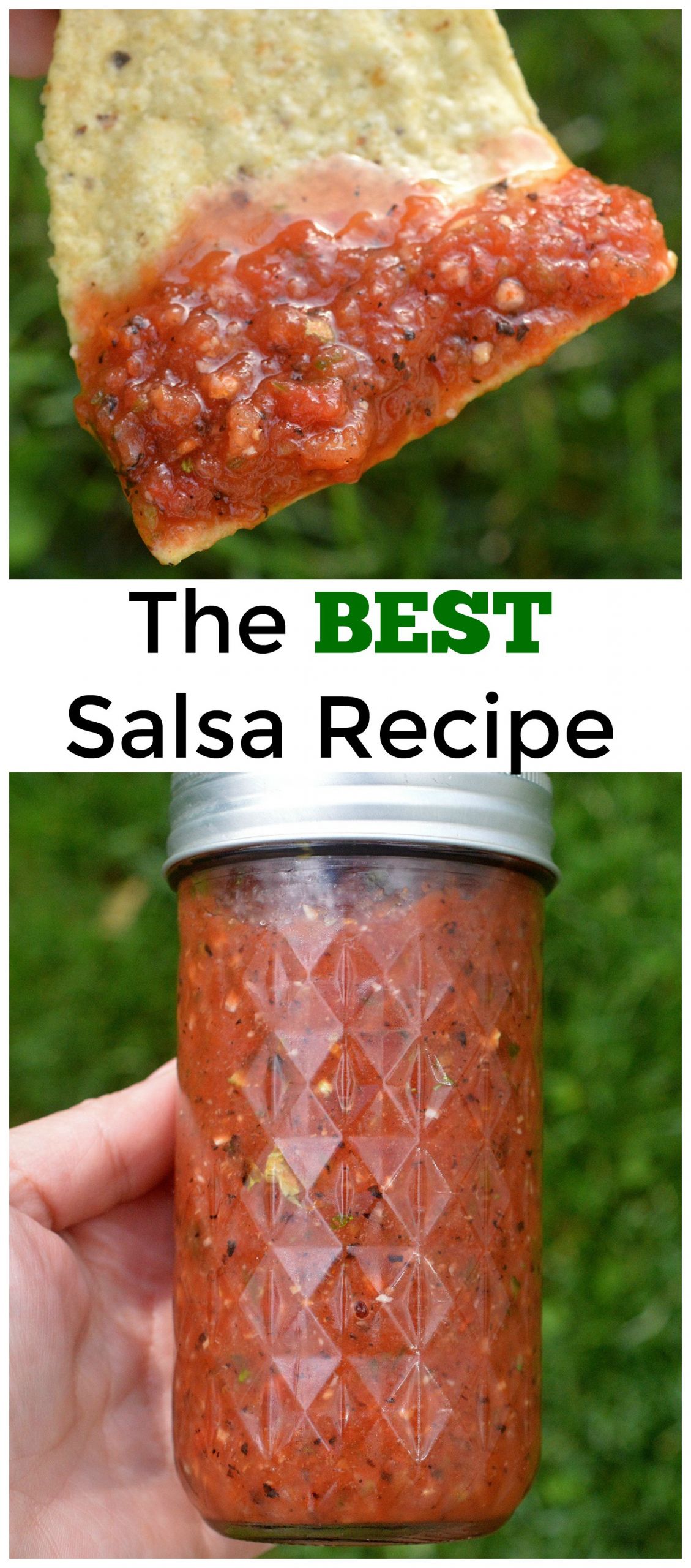 Best Homemade Salsa Recipe Ever
 The BEST and Easiest Salsa Recipe
