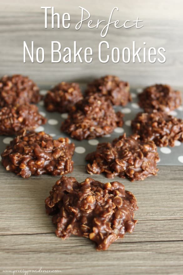 Best No Bake Cookies Recipes
 The Perfect No Bake Cookies