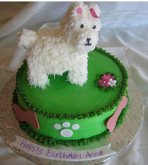 Birthday Cake Dog
 Rules of the Jungle The big surprise a dog birthday cake