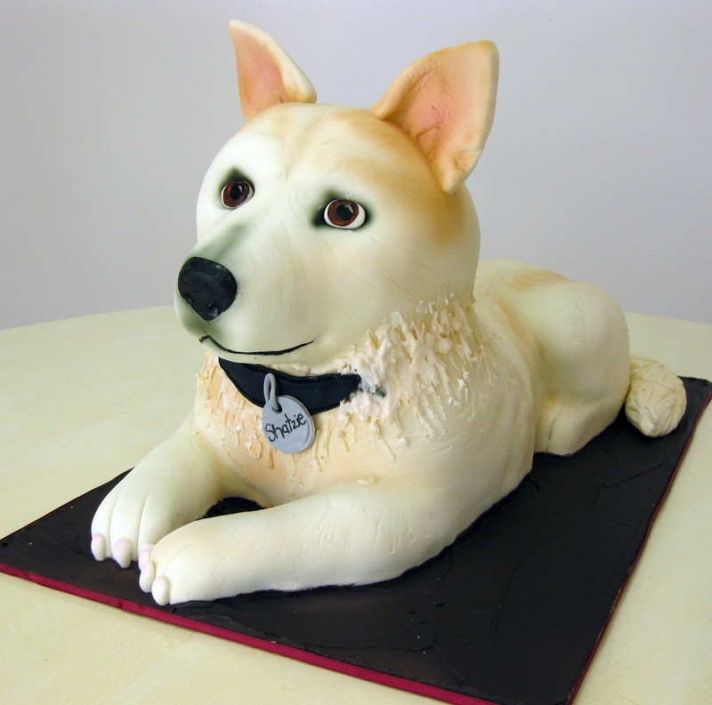 Birthday Cake Dog
 11 Dog Cakes That Are Practically Works Art BarkPost