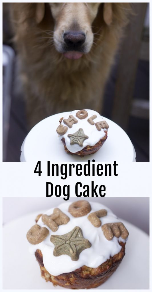 Birthday Cake Recipe For Dogs
 The Easiest Dog Birthday Cake Recipe for a Dog Birthday