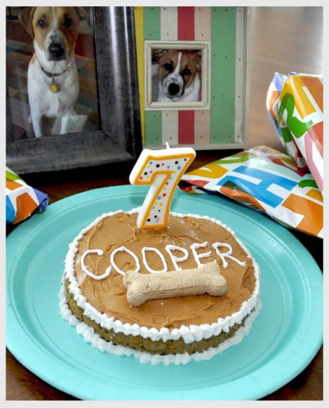 Birthday Cake Recipe For Dogs
 Doggie Birthday Cakes B Lovely Events