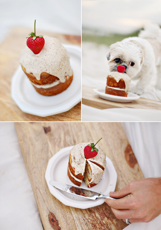 Birthday Cake Recipe For Dogs
 The Best Dog Birthday Cake Recipe Coco’s Birthday