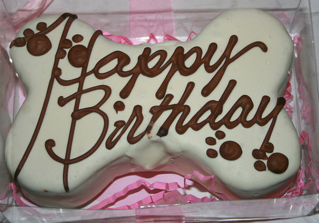 Birthday Cakes For Dogs
 [SPECIAL DAY] Happy Birthday Miss Mango
