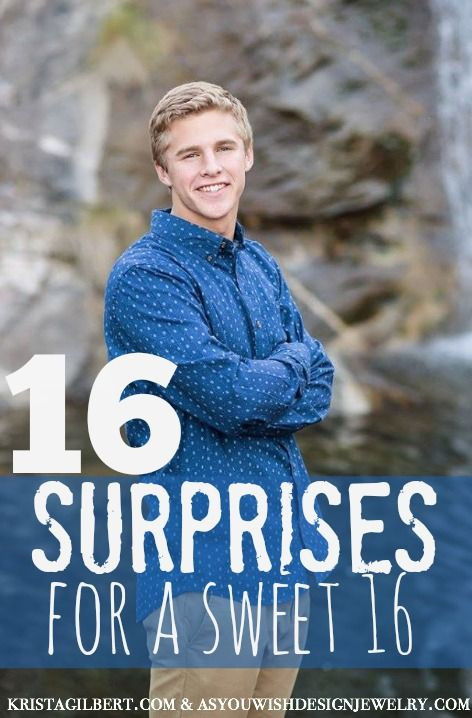 Birthday Gift Ideas 16 Year Old Boy
 16 Surprises for a 16th Birthday