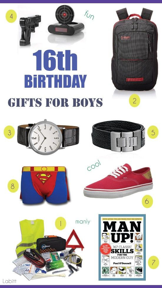 Birthday Gift Ideas For 16 Year Old Boy
 Gifts for 16 Year Old Boys 8 Gift Ideas They ll Love