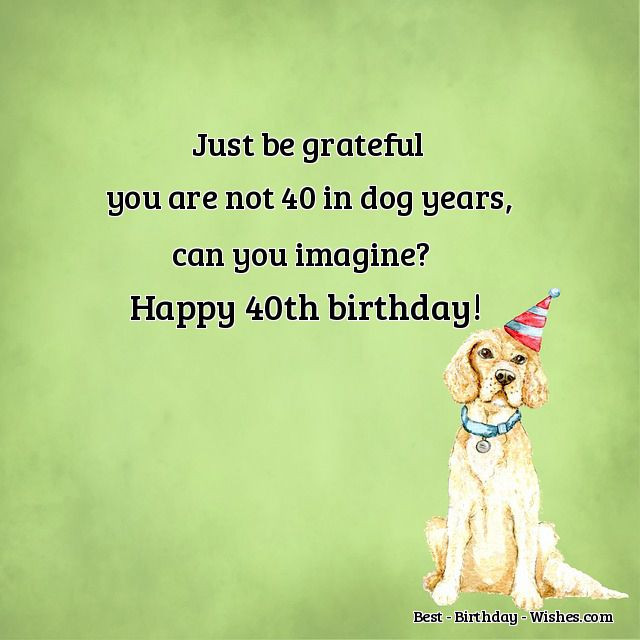 Birthday Images With Quotes
 40th Birthday Wishes Funny & Happy Messages & Quotes for