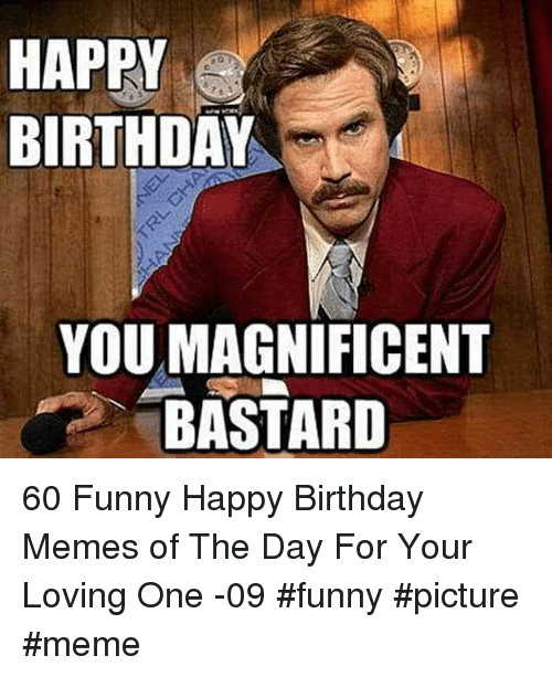 Birthday Memes Funny
 HAPPY BIRTHDAY YOU MAGNIFICENT BASTARD 60 Funny Happy