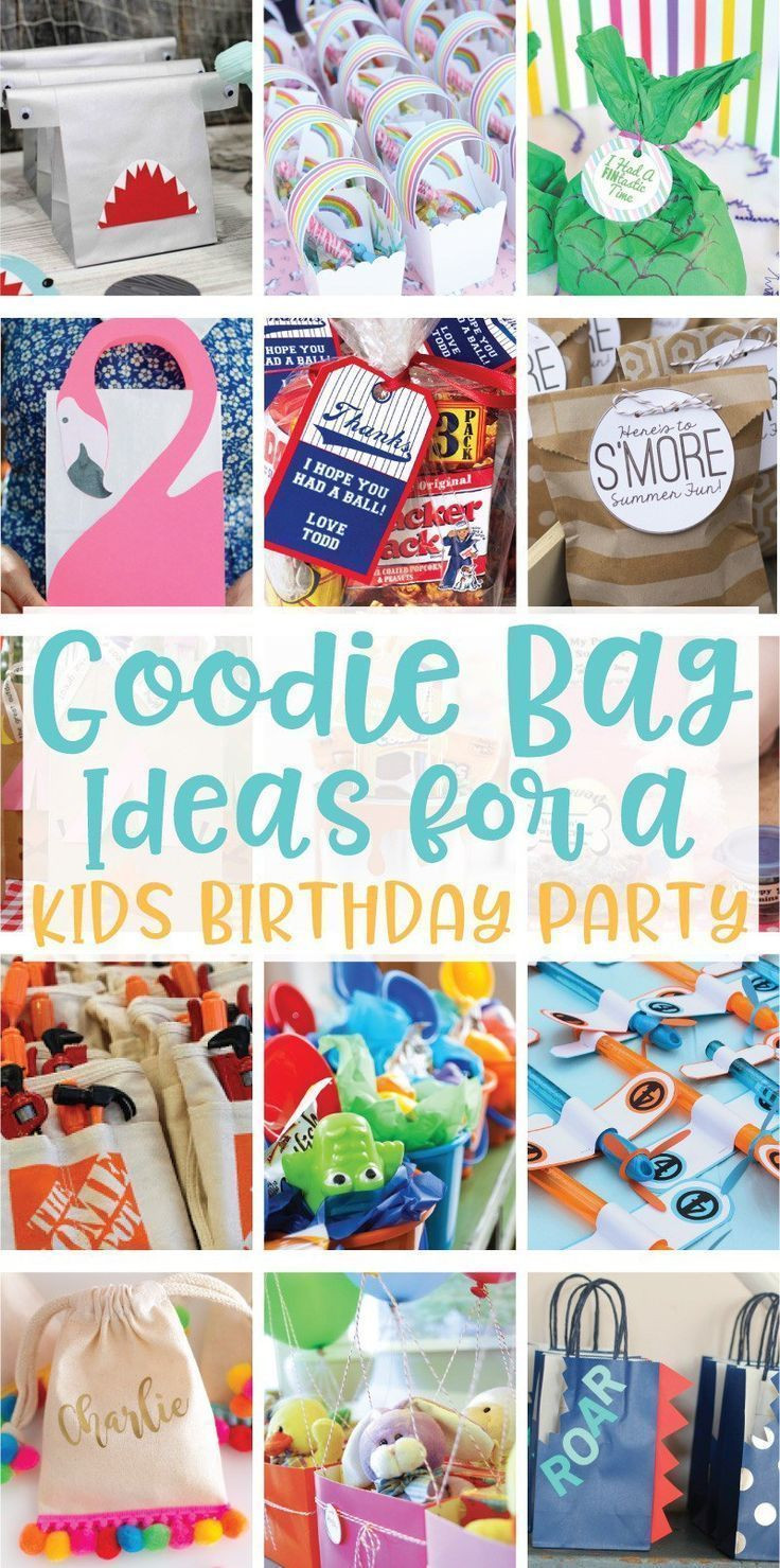 Birthday Party Gift Bags
 20 Goo Bag Ideas for Kids Birthday Parties