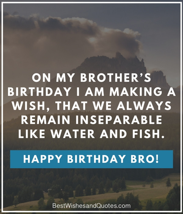 Birthday Quotes For Big Brother
 Happy Birthday Brother 41 Unique ways to Say Happy