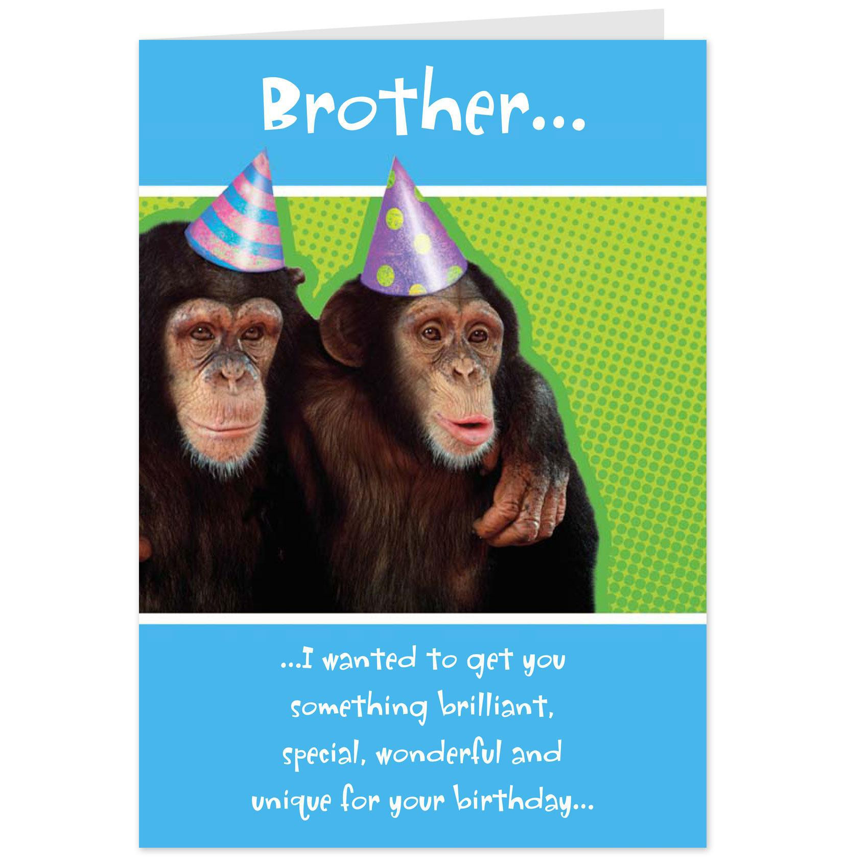 Birthday Quotes For Big Brother
 Big Brother Little Brother Birthday Quotes To Funny