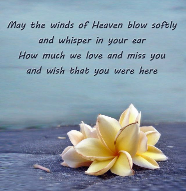 Birthday Wishes For Someone In Heaven
 182 PROFOUND Happy Birthday in Heaven Quotes &