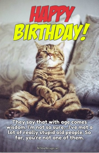 Birthday Wishes Funny Images
 Funny Birthday Wishes & Birthday Quotes Funny Birthday