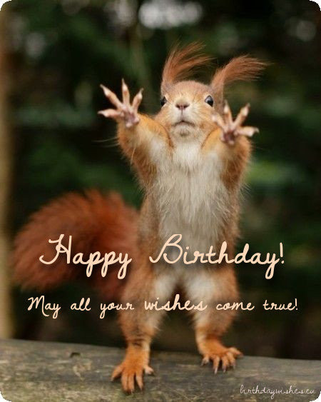 Birthday Wishes Funny Images
 Top 50 Funny Birthday Wishes For Friend And Humorous