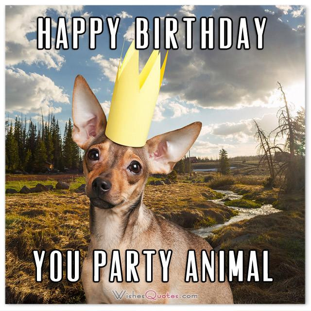 Birthday Wishes Funny Images
 The Funniest and most Hilarious Birthday Messages and Cards