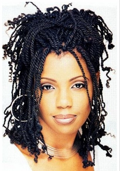 Black Braid Updo Hairstyles
 African American Hairstyles Trends and Ideas Braids