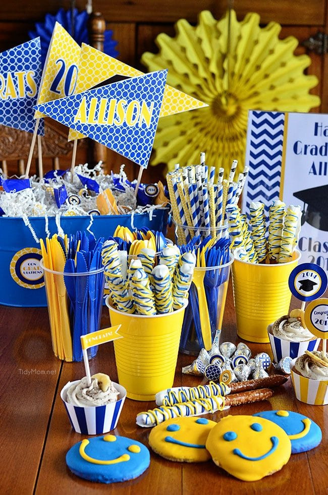 Blue And Yellow Graduation Party Ideas
 Stress Free Graduation Party Ideas