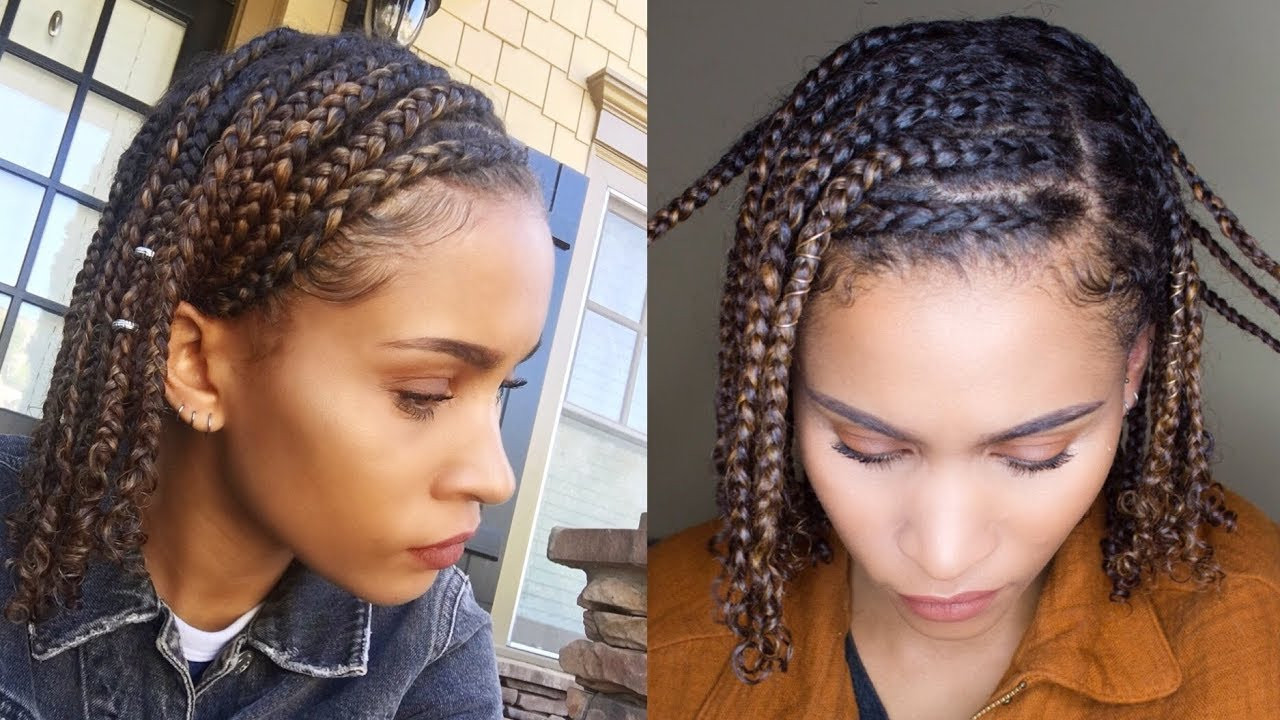 Braid Hairstyles For Natural Hair
 Mini BRAIDS Easy Protective Style for NATURAL HAIR