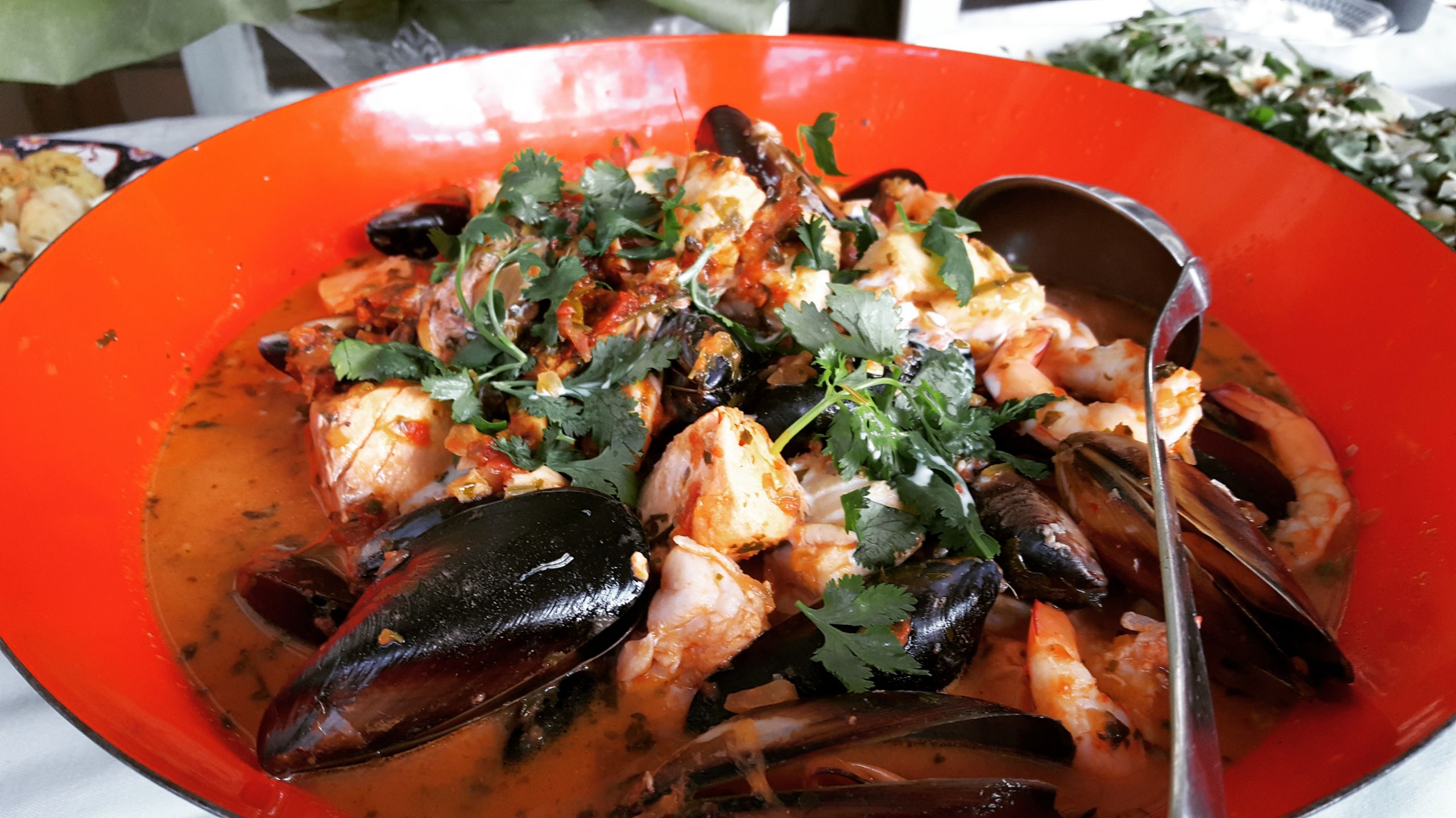 Brazilian Seafood Stew
 Mocqueca – Brazilian Seafood Stew