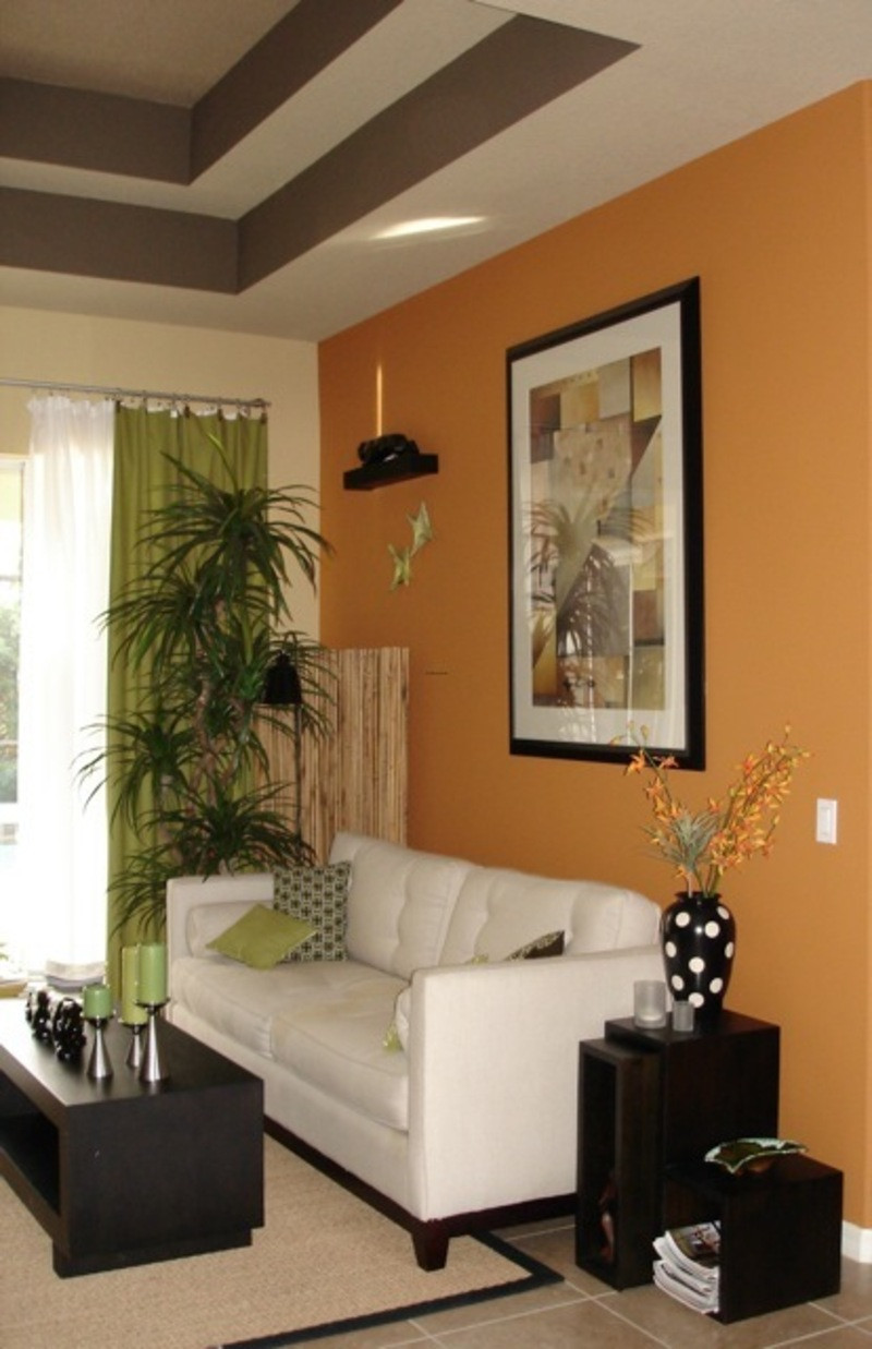 Brown Paint Living Room
 Are the Living Room Paint Colors Really Important