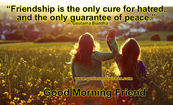 Buddha Quotes On Friendship
 Buddha Quotes About Friendship QuotesGram