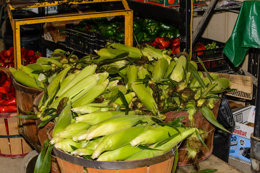 Bushel Of Corn Weight
 How Many Ears Corn In A Bushel Understanding The