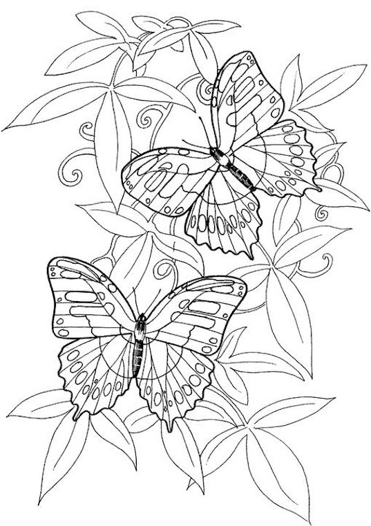 Butterfly Coloring Pages For Adults
 Mike Tyson Tattoos Coloring Pages Butterfly