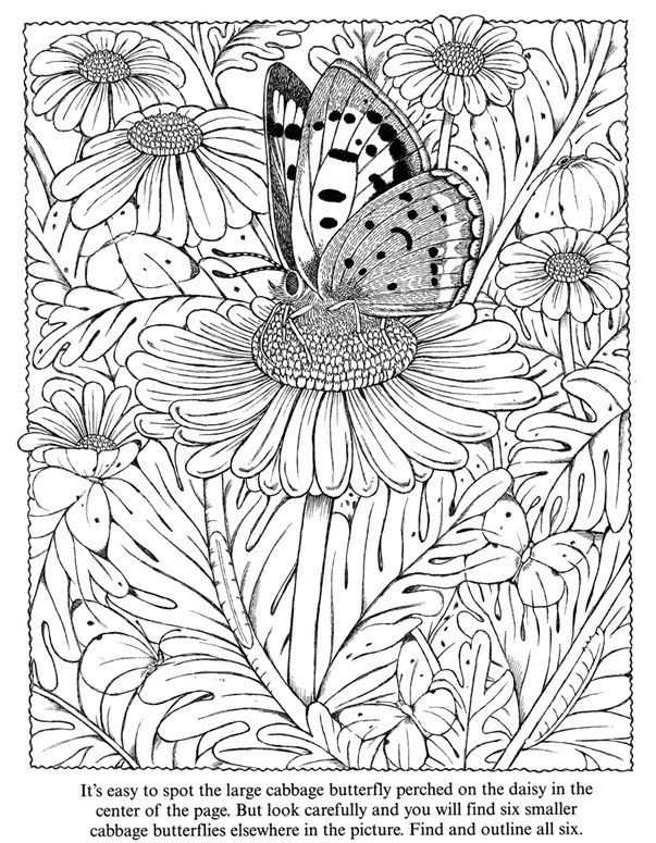 Butterfly Coloring Pages For Adults
 inkspired musings Butterflies