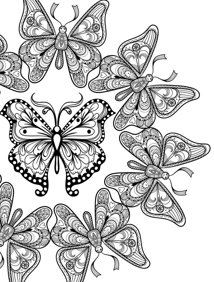 Butterfly Coloring Pages For Adults
 89 best Butterflies Coloring Pages for Adults images on