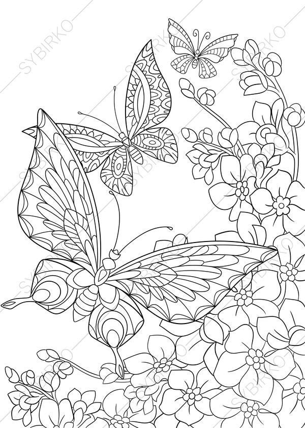 Butterfly Coloring Pages For Adults
 Butterfly and Spring Flowers 3 Coloring Pages Animal