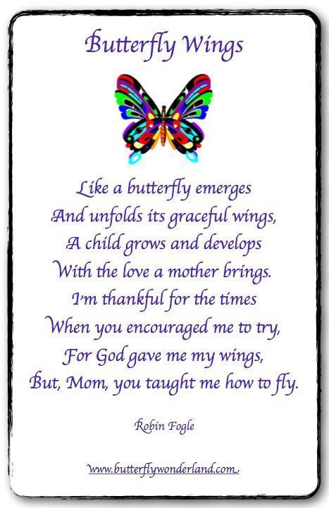 Butterfly Quotes For Kids
 Butterfly Wings by Robin Fogle