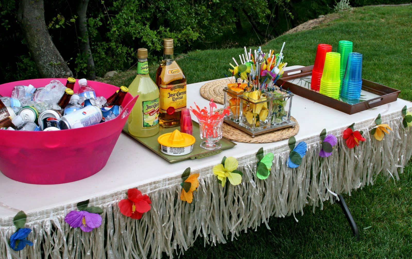Caribbean Themed Backyard Party Ideas
 Pin by L Renee on Caribbean Party