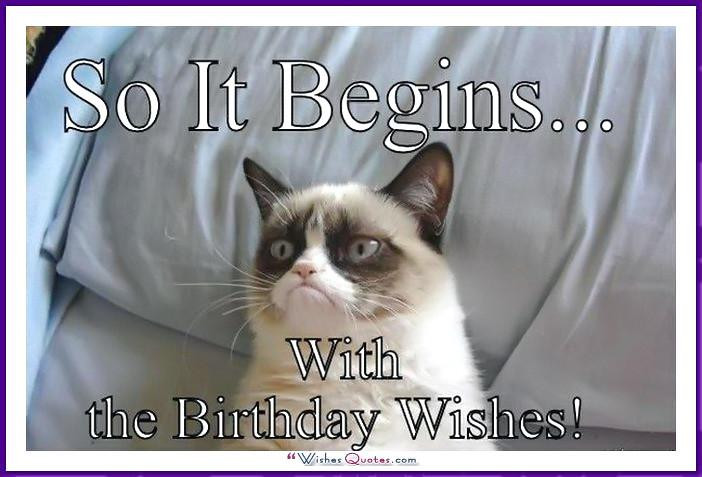 Cat Birthday Quotes
 Happy Birthday Memes with Funny Cats Dogs and Cute Animals