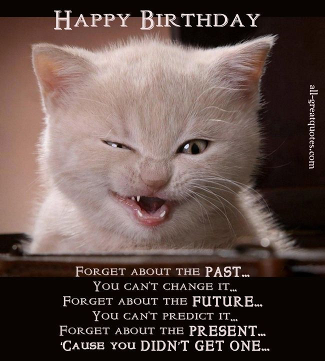 Cat Birthday Quotes
 Pin by Yvonne Ellis Rossouw on Birthdays