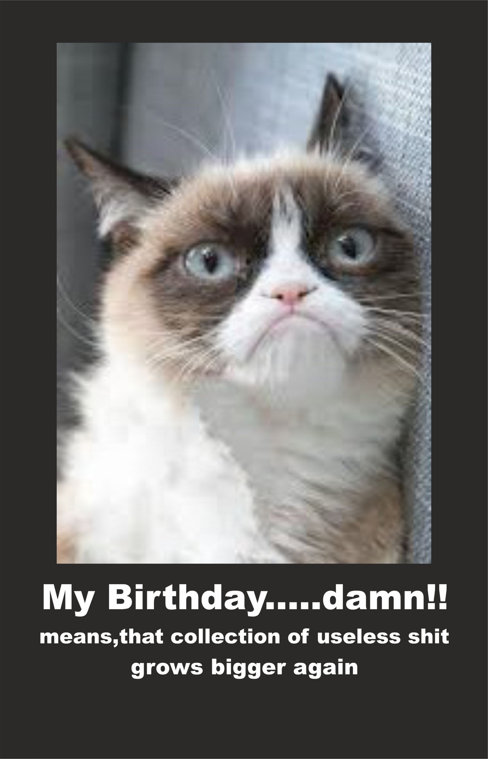 Cat Birthday Quotes
 Birthday Quotes Memes Animals QuotesGram