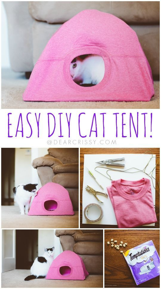 Cat Gifts For Kids
 DIY Cat Tent Recipe
