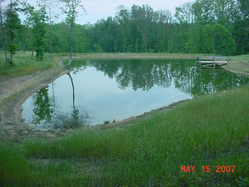 Catfish Backyard Pond
 Pond