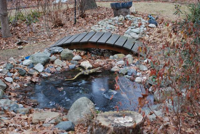 Catfish Backyard Pond
 Backyard Aquaponics • View topic Tilapia pond setup a