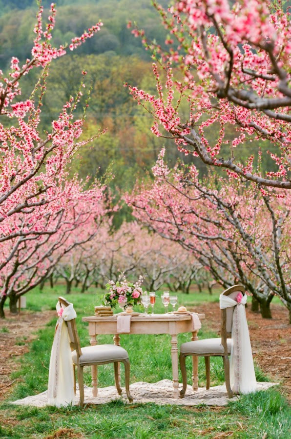 Cherry Blossom Themed Wedding
 A Wedding Theme Less Ordinary Cherry Blossom Wedding