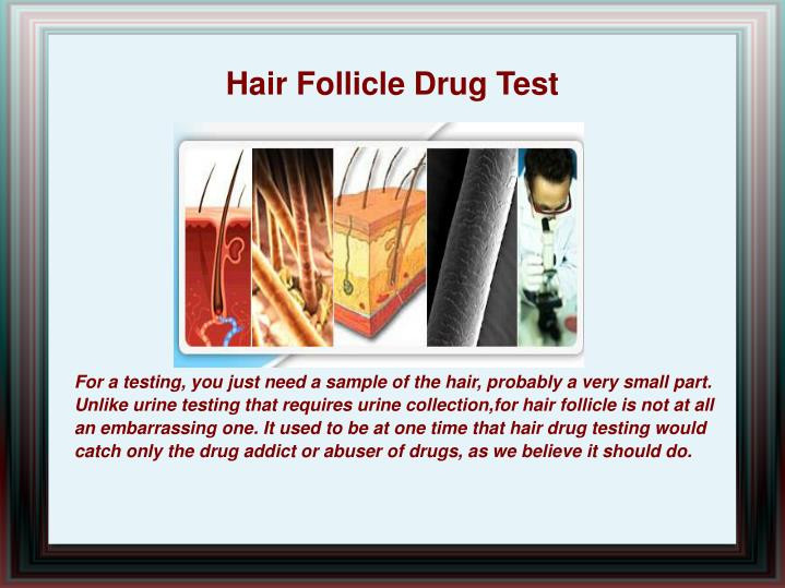 Child Hair Follicle Drug Test
 PPT Paternity Tests and Other DNA Tests PowerPoint