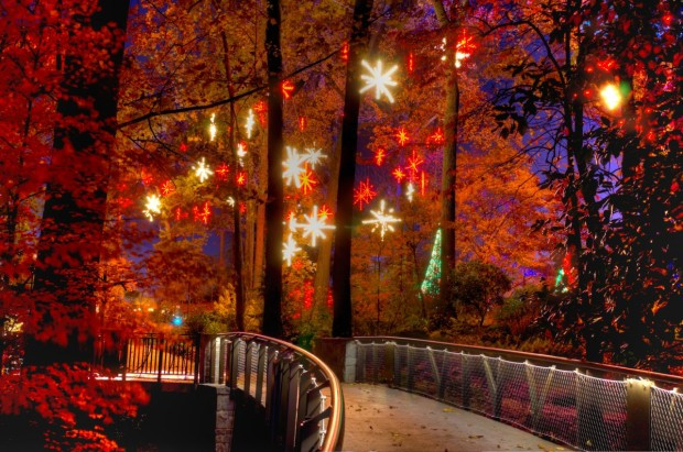 Christmas In The Garden
 6 Best Places to See Christmas Lights in Atlanta GAFollowers