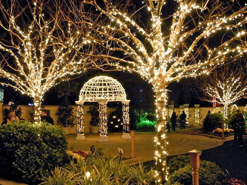 Christmas In The Garden
 Botanical Gardens To Host 2017 Gift And Plant Sale