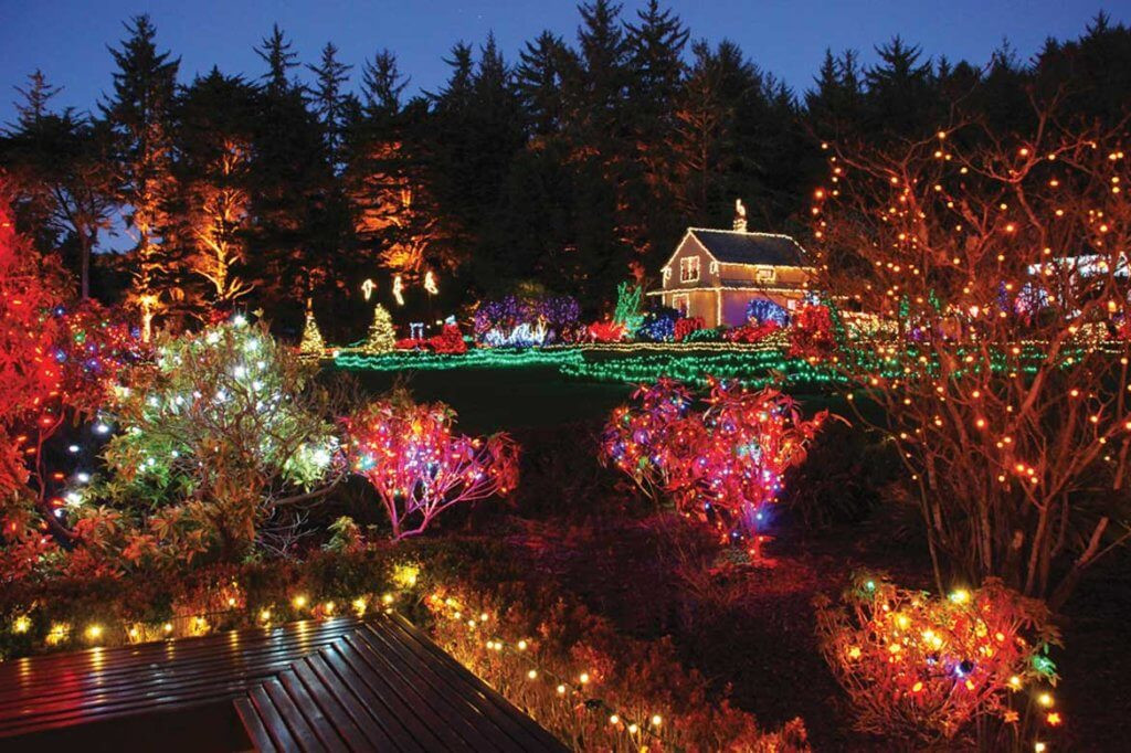 Christmas In The Garden
 10 Gardens That Glitter with Holiday Lights