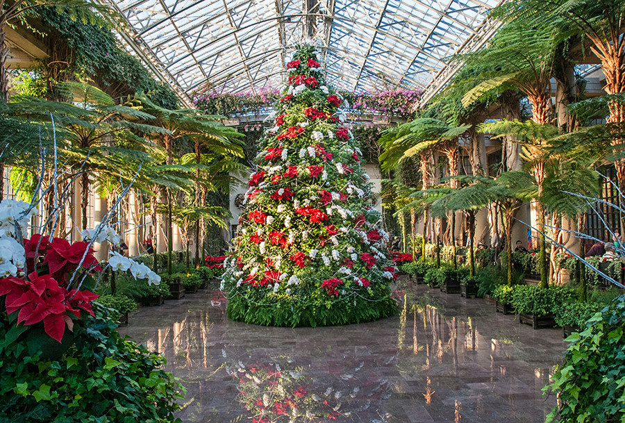 Christmas In The Garden
 12 Reasons A Longwood Christmas Should Be 1 on Your
