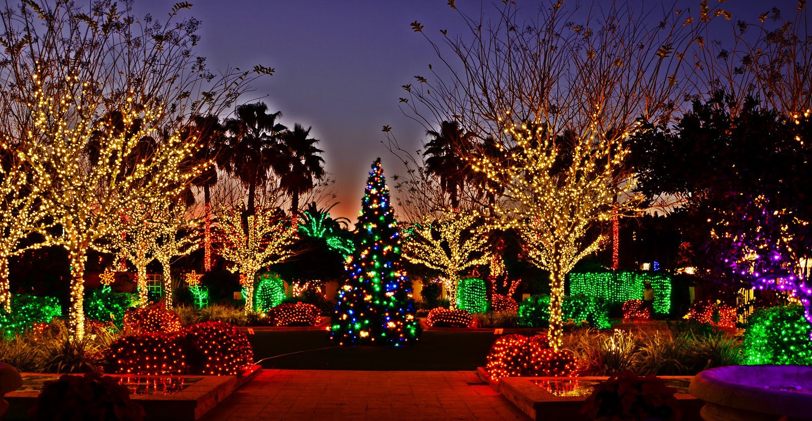 Christmas In The Garden
 Immortal Fitness 15 places to see Christmas lights in the