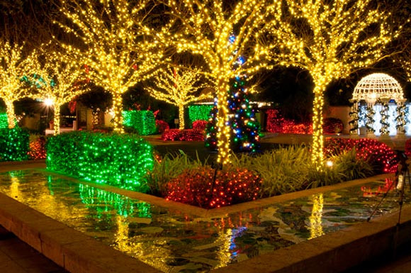 Christmas In The Garden
 Gardens of Holiday Lights