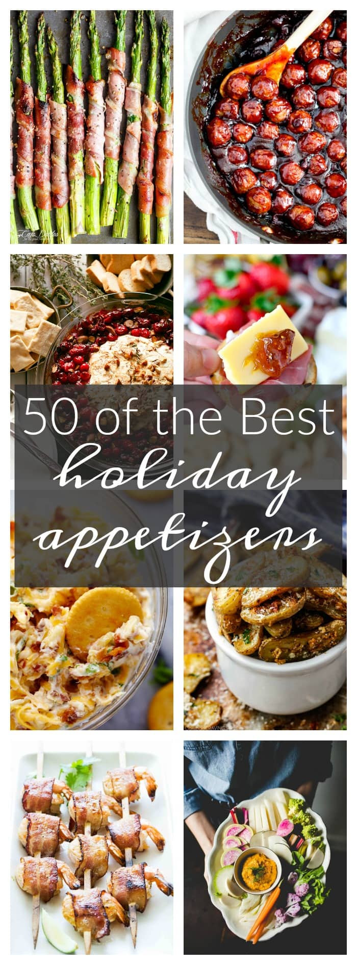 Christmas Party Appetizers Pinterest
 50 of the Best Appetizers for the Holidays A Dash of Sanity