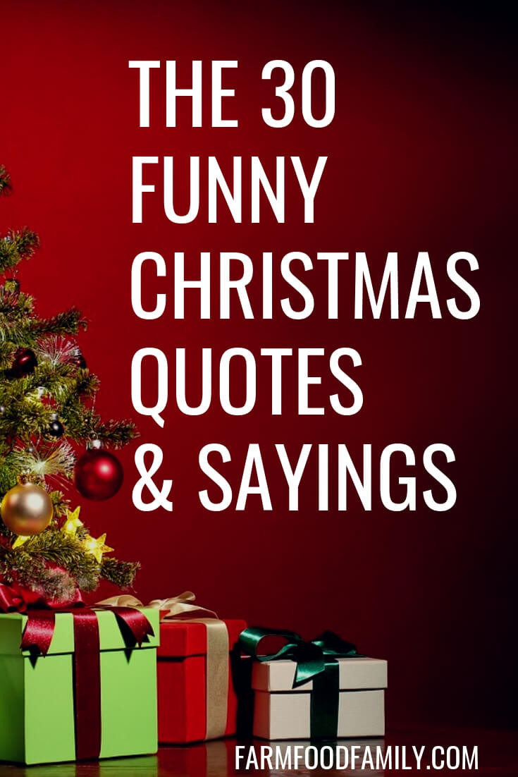 Christmas Picture Quotes
 30 Funny Christmas Quotes & Sayings That Make You Laugh