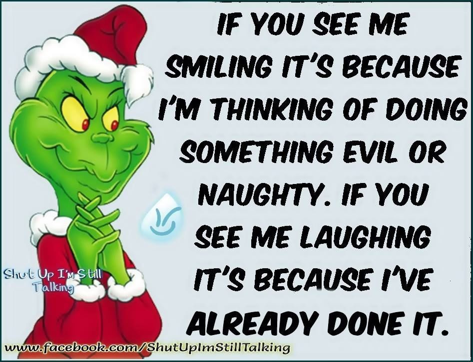Christmas Quote From The Grinch
 Funny Grinch Christmas Quote s and