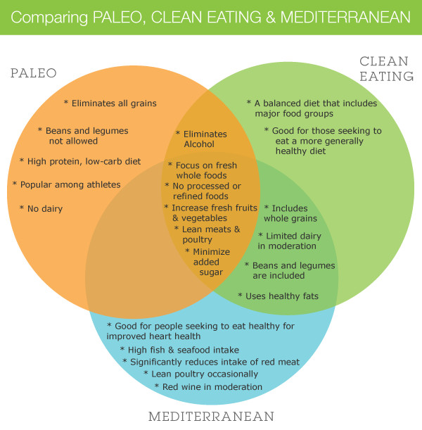Clean Eating Vs Paleo
 The Girl Who Thought Too Much Clean Eating The Good the